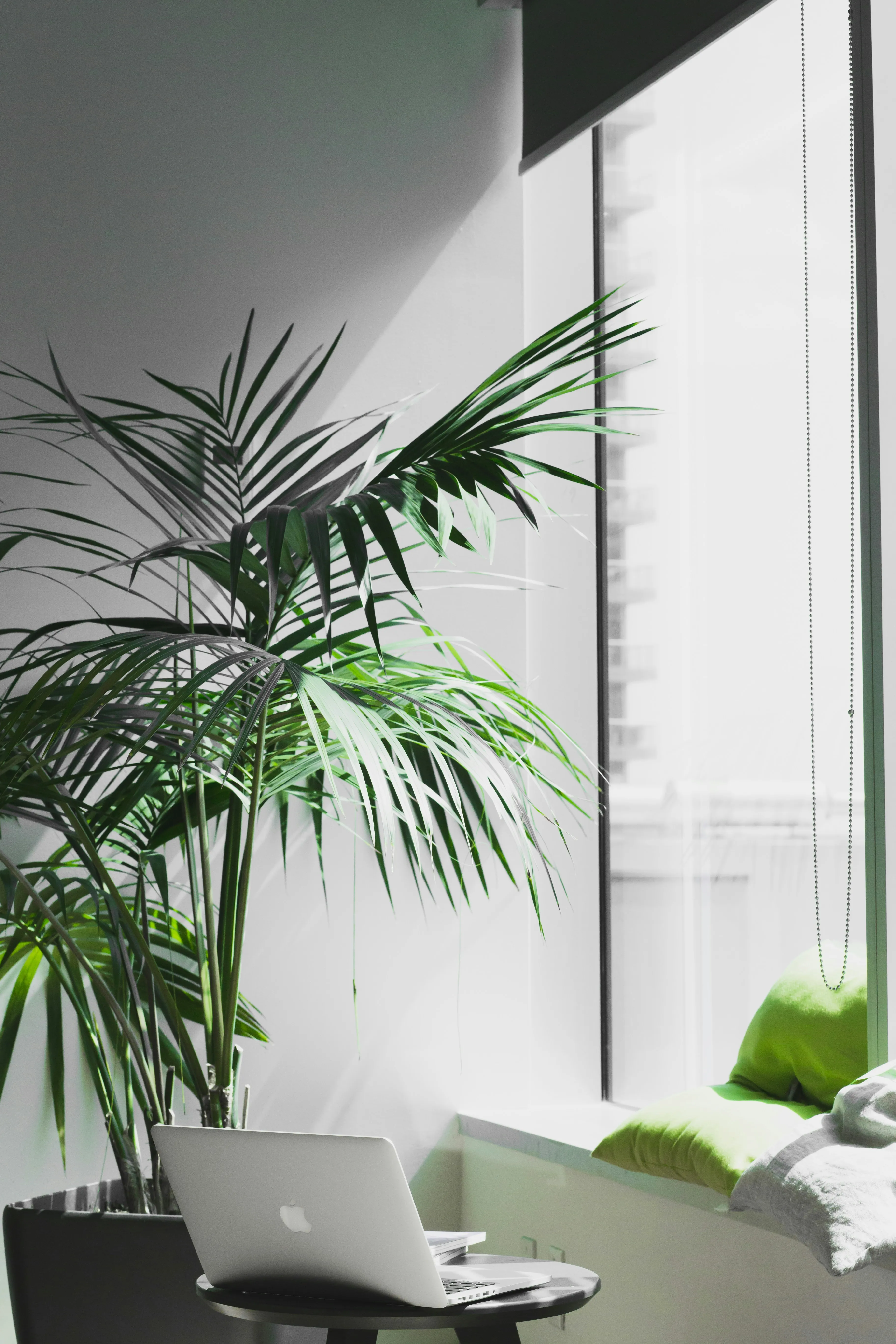 Therapy room with calming atmosphere